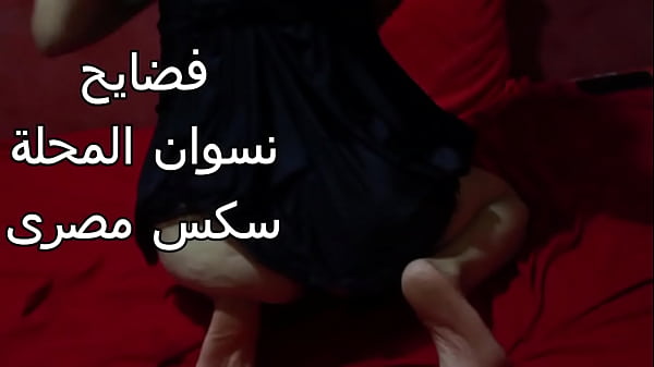 مصريه شرموطه طيزها ضخمه عايزه تتناك بقوه